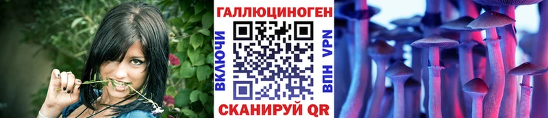 как найти закладки Малаховка Галлюциногенные грибы Cubensis